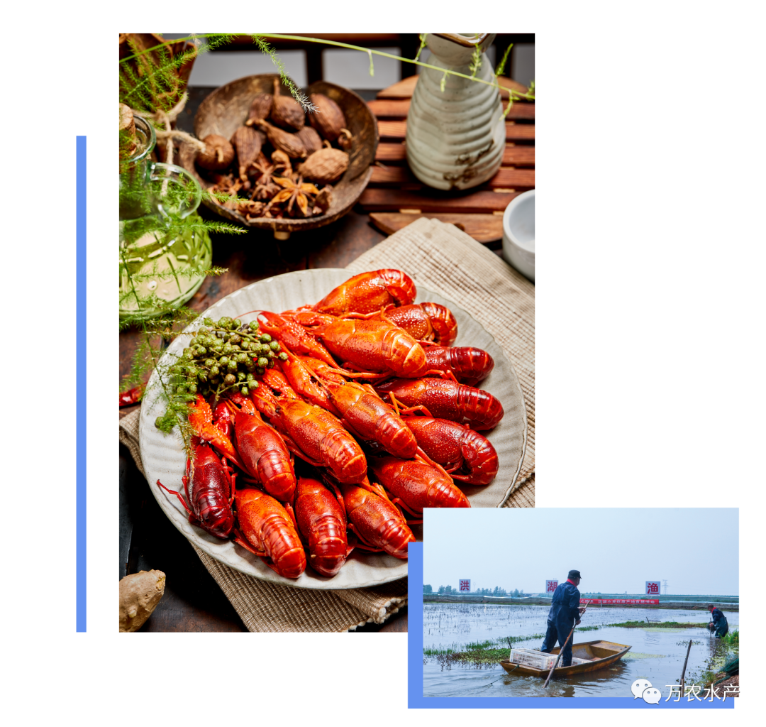 3月28日，萬農(nóng)水產(chǎn)與您相約武漢良之隆電商食材節(jié)