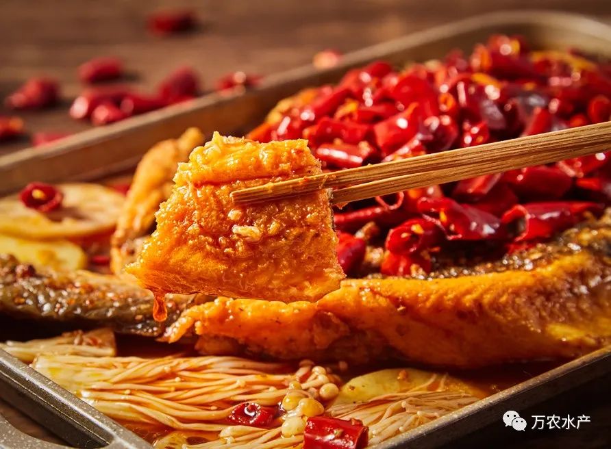 萬農(nóng)水產(chǎn)新品亮相長沙湘菜節(jié)，鮰魚預(yù)制菜有望成為行業(yè)爆品